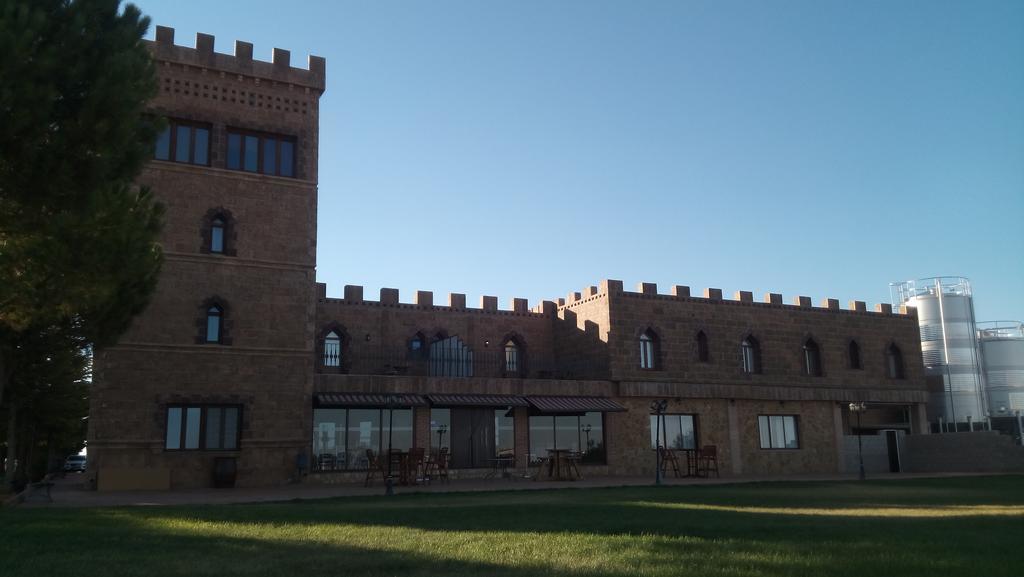 Hotel Vinedos Y Bodegas El Castillo Villarrobledo Ngoại thất bức ảnh